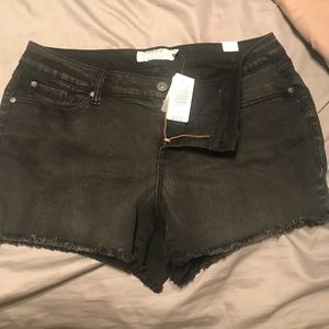Brand new with tags torrid shorts!